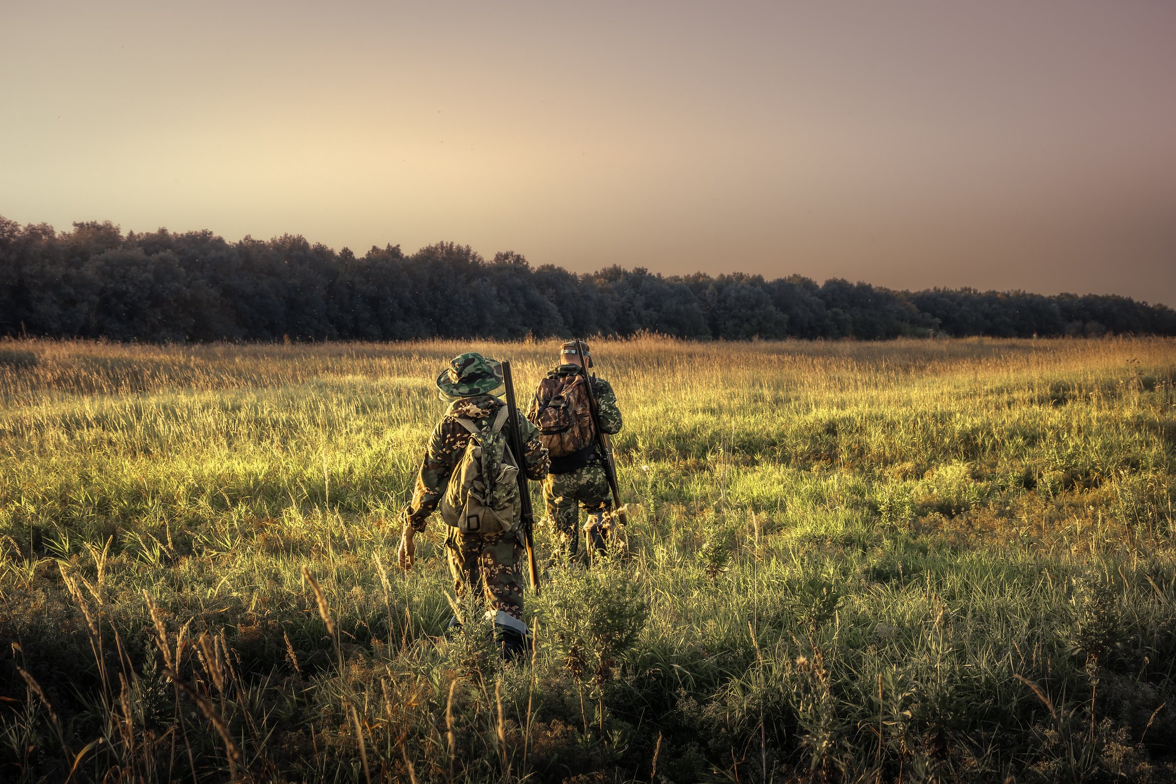 Hunters hunting equipment going away through rural field towards forest at sunset during hunting season in countryside